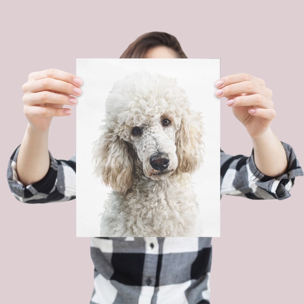 Watercolor Standard White Poodle Wall Art Print Unframed - Elegant Canine Poster - Picture 4 of 7